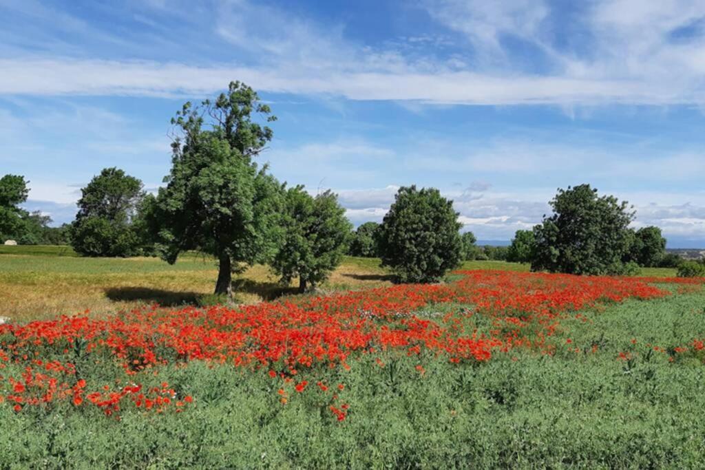 Cal Bello Casa Rural Льєйда Екстер'єр фото