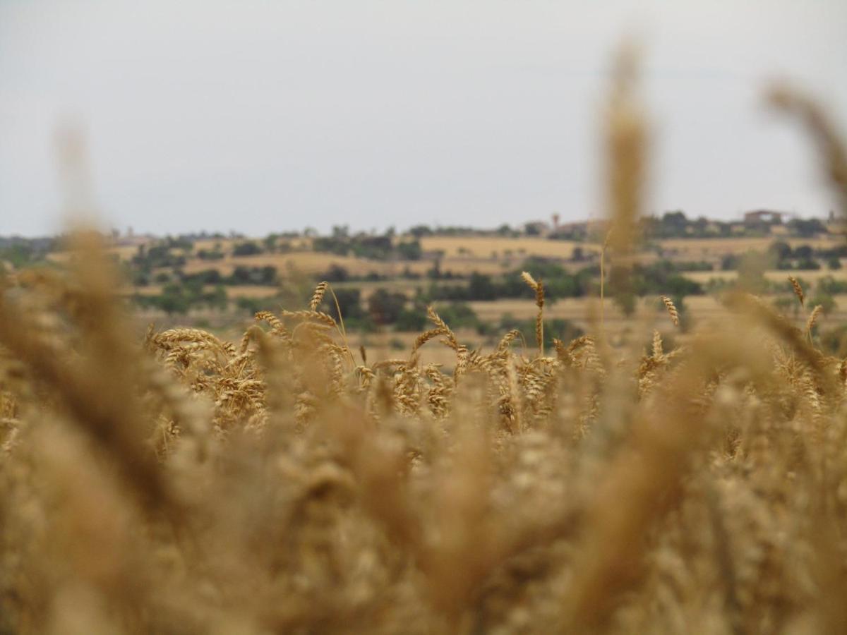 Cal Bello Casa Rural Льєйда Екстер'єр фото